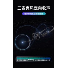 黄鹂智声（Oleap） 蓝牙降噪通话耳机P200b